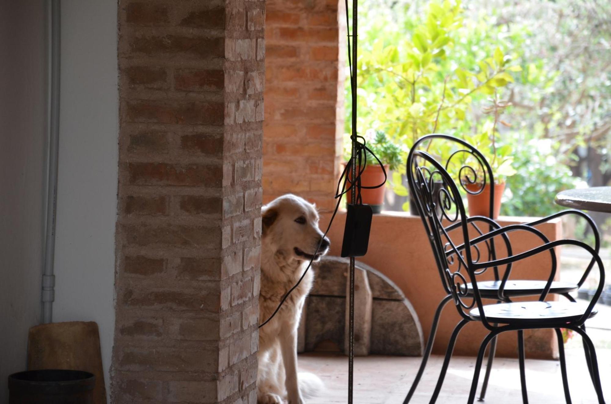 Borgo Piazza Bed & Breakfast Catanzaro Rom bilde