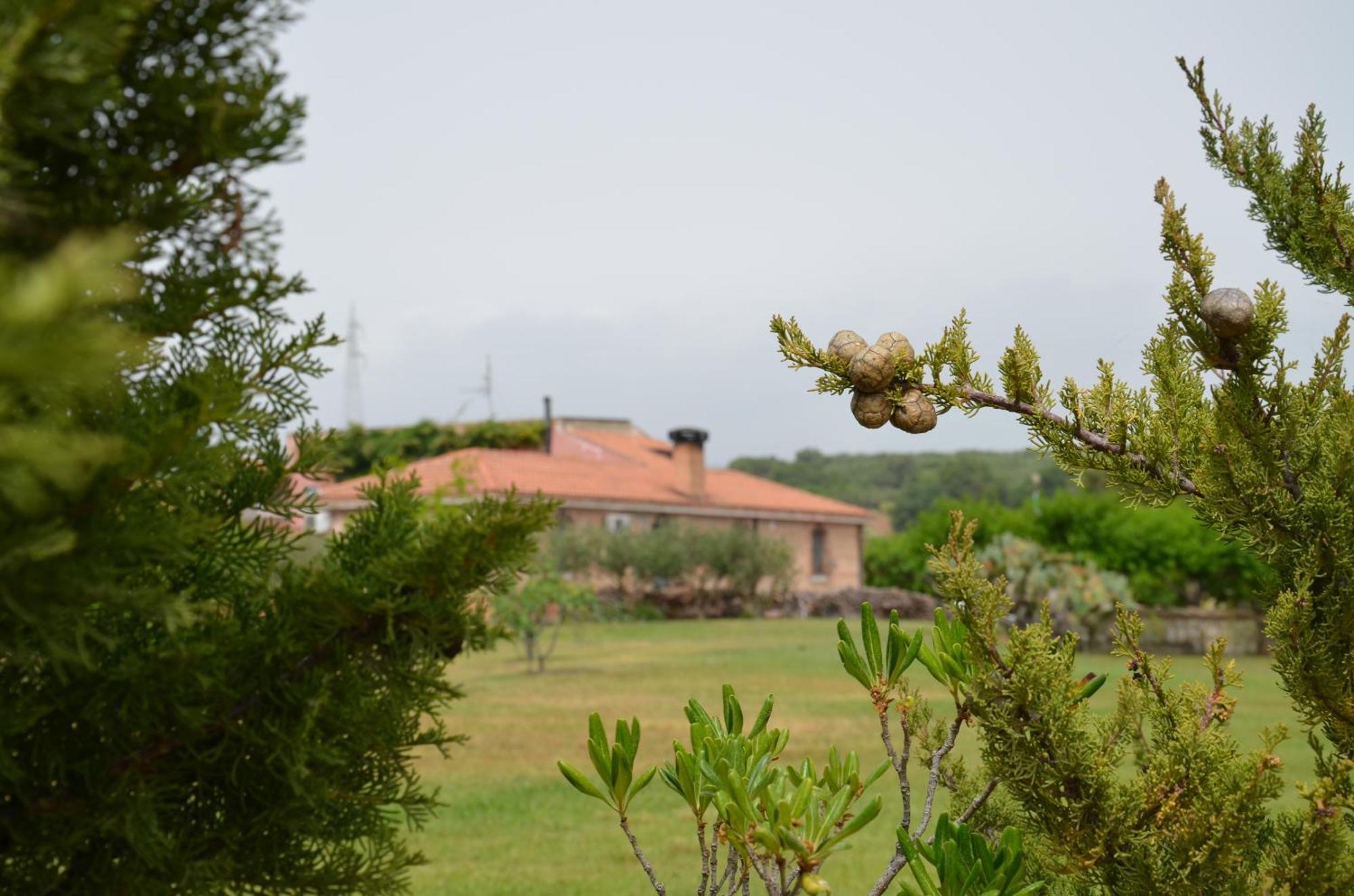Borgo Piazza Bed & Breakfast Catanzaro Rom bilde